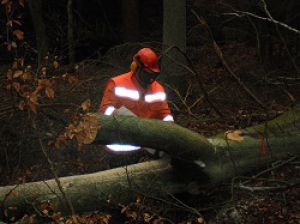 Lehrgang Motorkettensäge