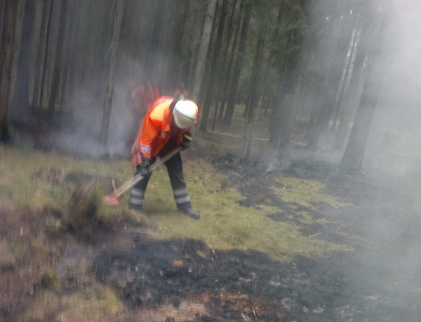 waldbrand