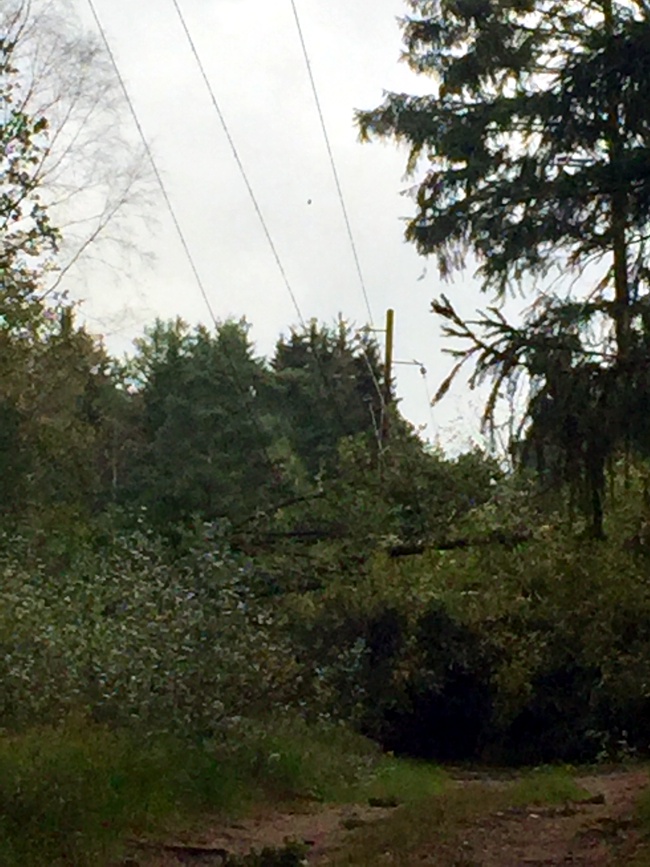 2017-10-11-ff-gartow-xavier-4