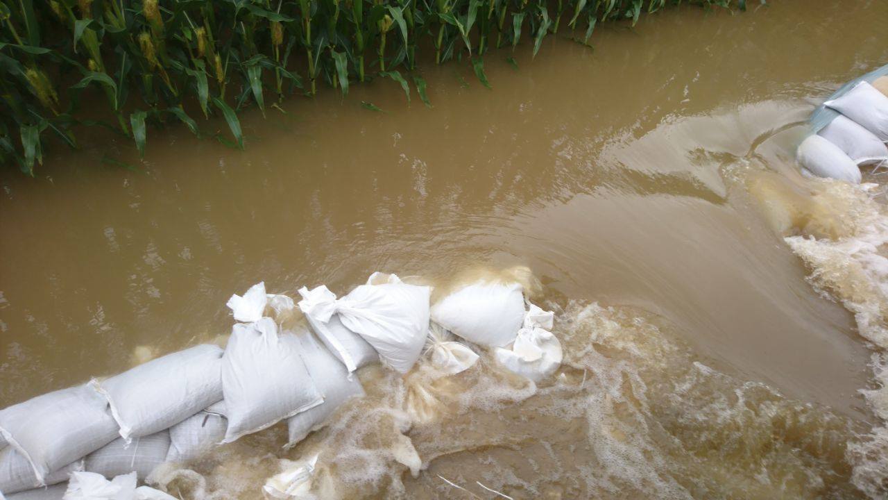2017-08-13-Hochwasser01