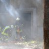 KFB1 uebt in der Letzlinger Heide