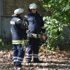 KFB1 uebt in der Letzlinger Heide