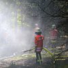 KFB1 uebt in der Letzlinger Heide
