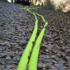 KFB1 uebt in der Letzlinger Heide